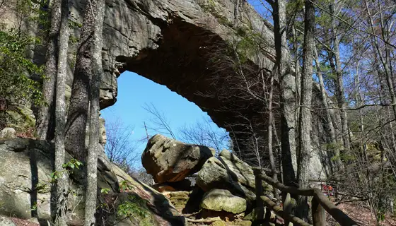 Red River Gorge & Natural Bridge